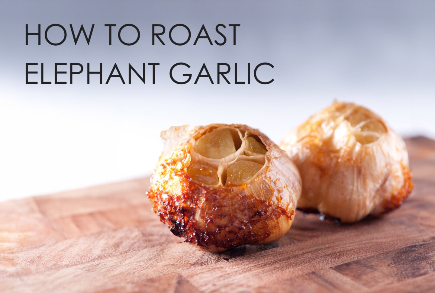 how to roast elephant garlic