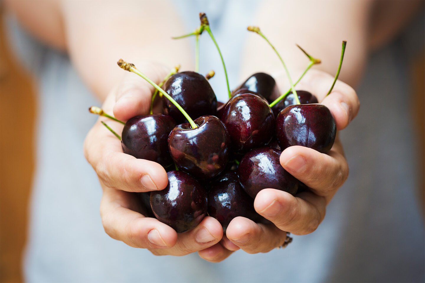 a woman holding a bunch of dark red cherries