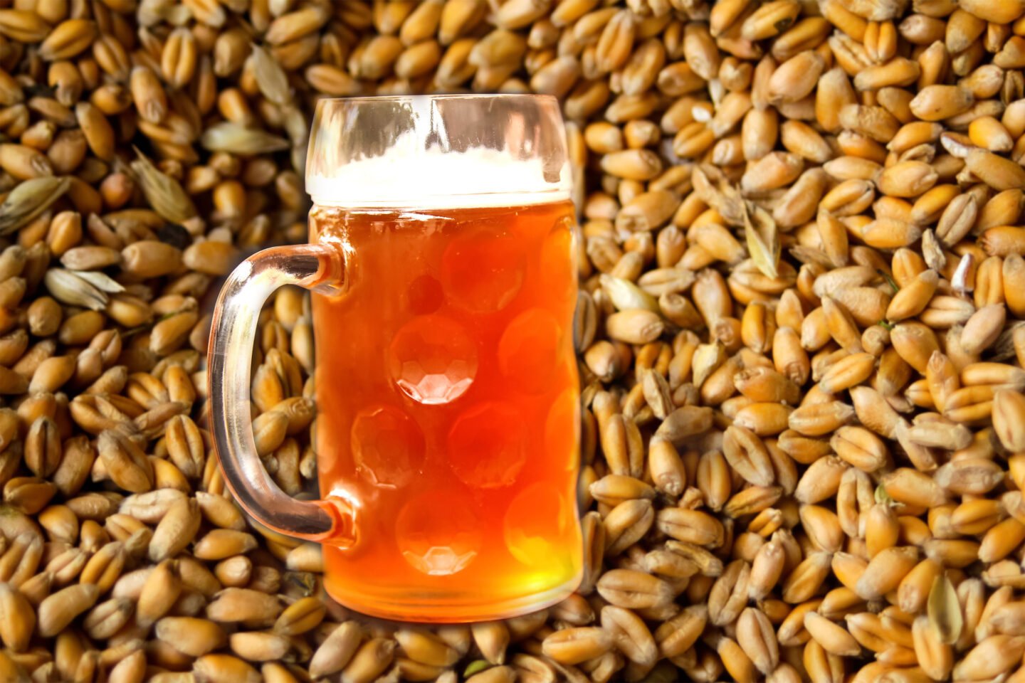 mug of beer on pearl barley grains background