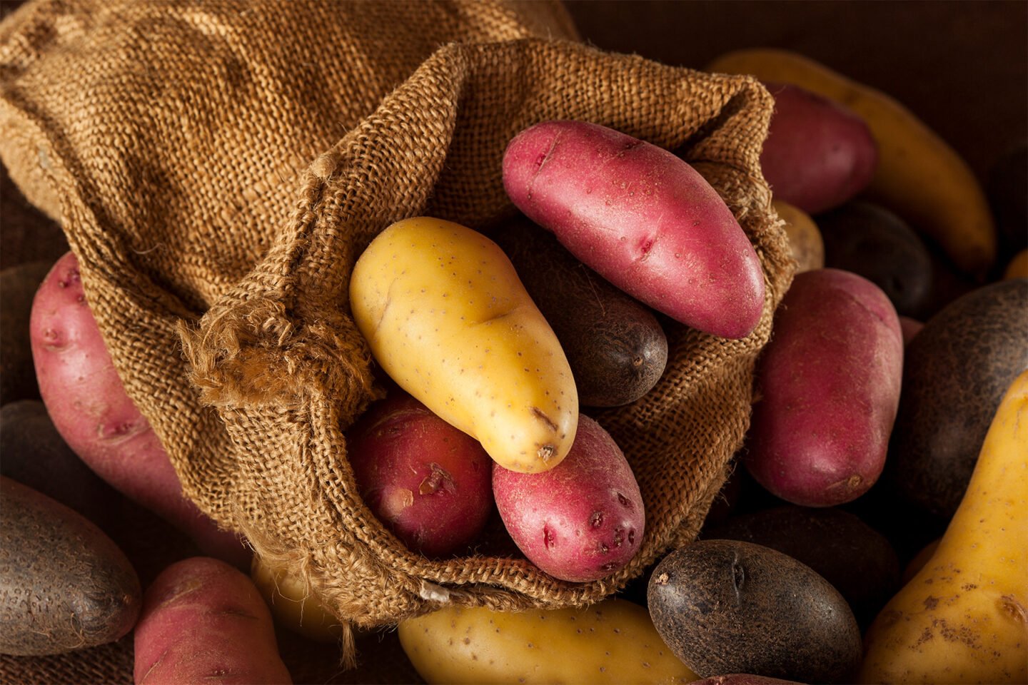 raw potatoes in burlap sack