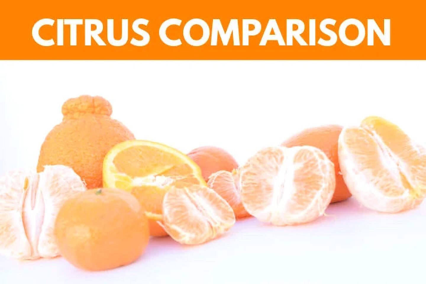 Citrus Fruit comparison