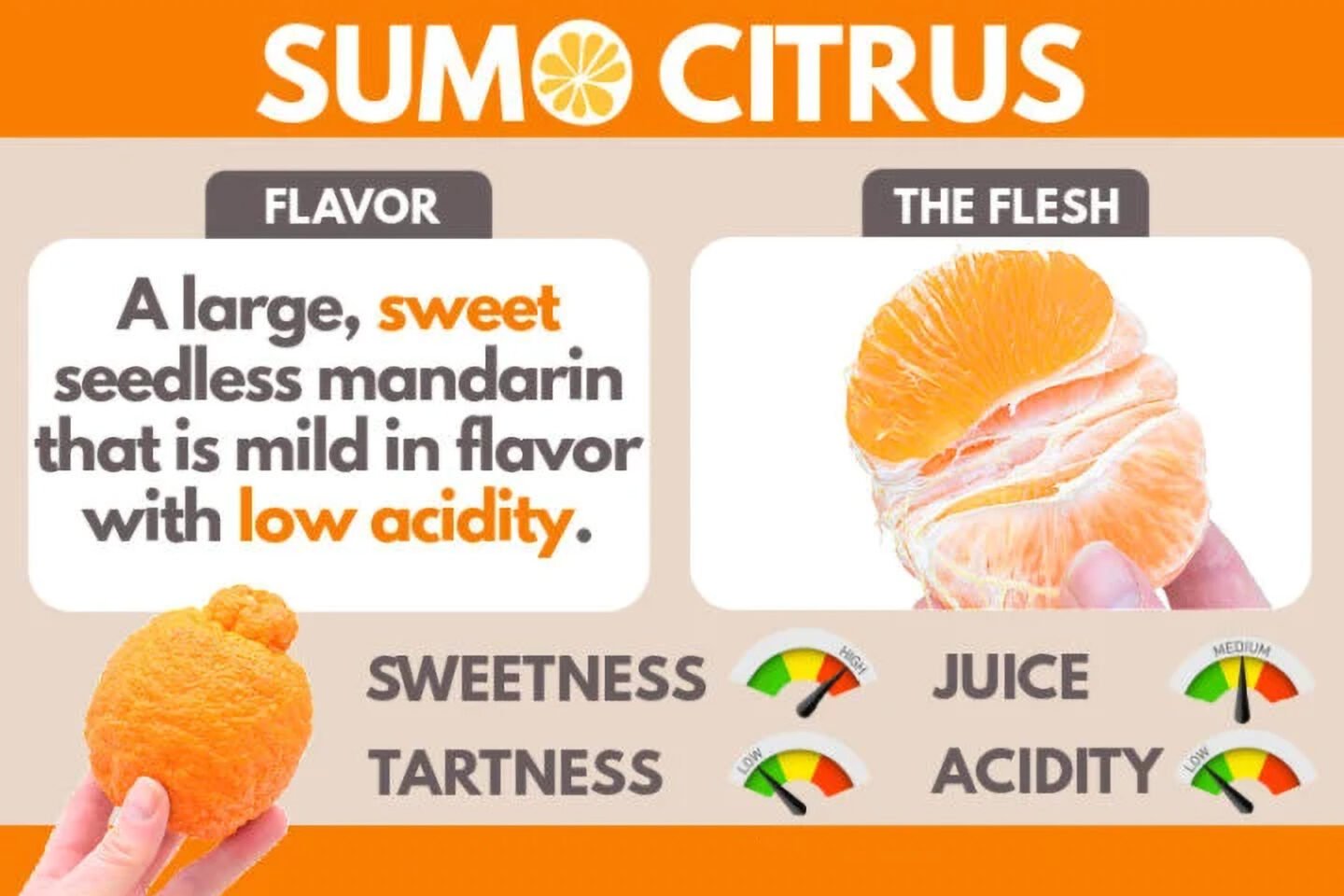 Sumo Citrus Taste 1800x1200 1