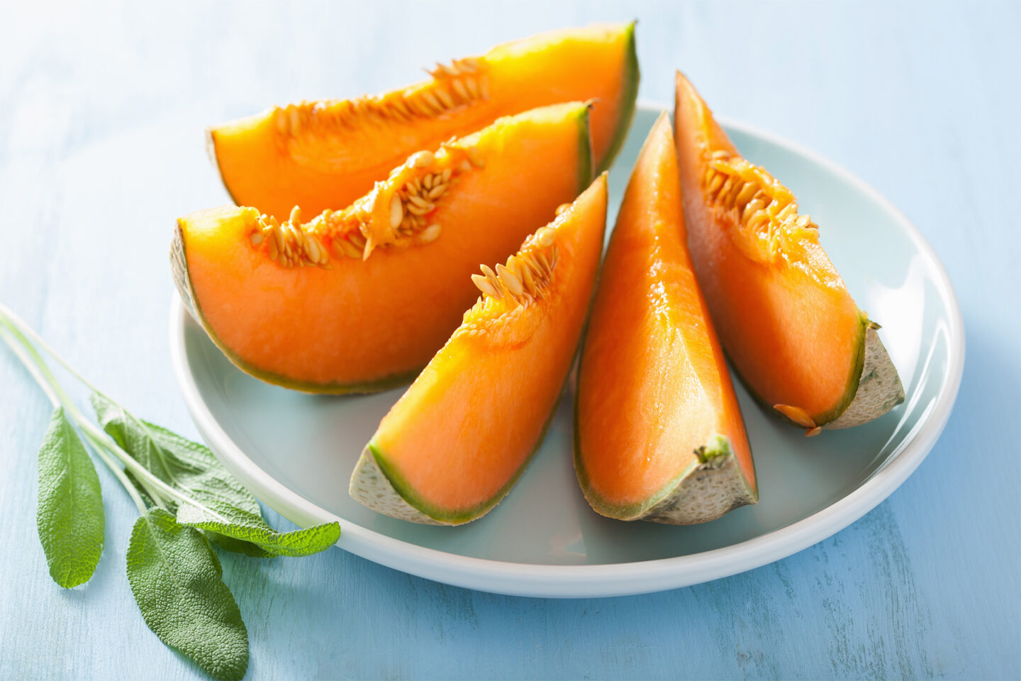 cantaloupe melon slices