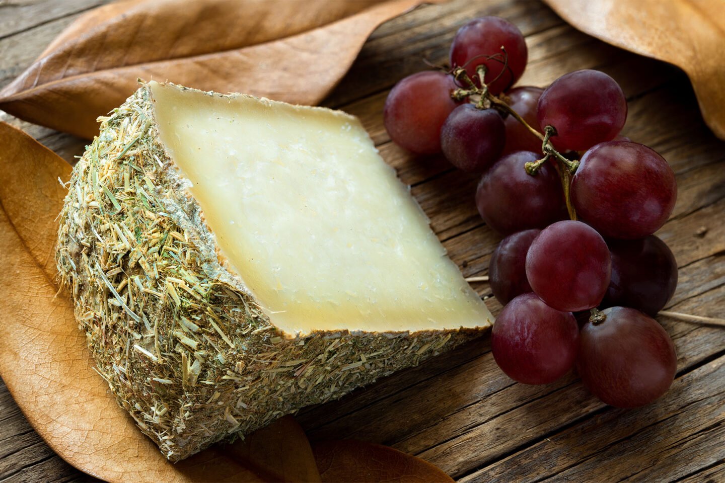 pecorino romano cheese covered in hay