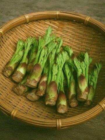 Taranome Angelica Shoots in Basket